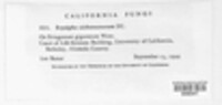 Image Associated With the Occurence